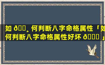 如 🕸 何判断八字命格属性「如何判断八字命格属性好坏 🕊 」